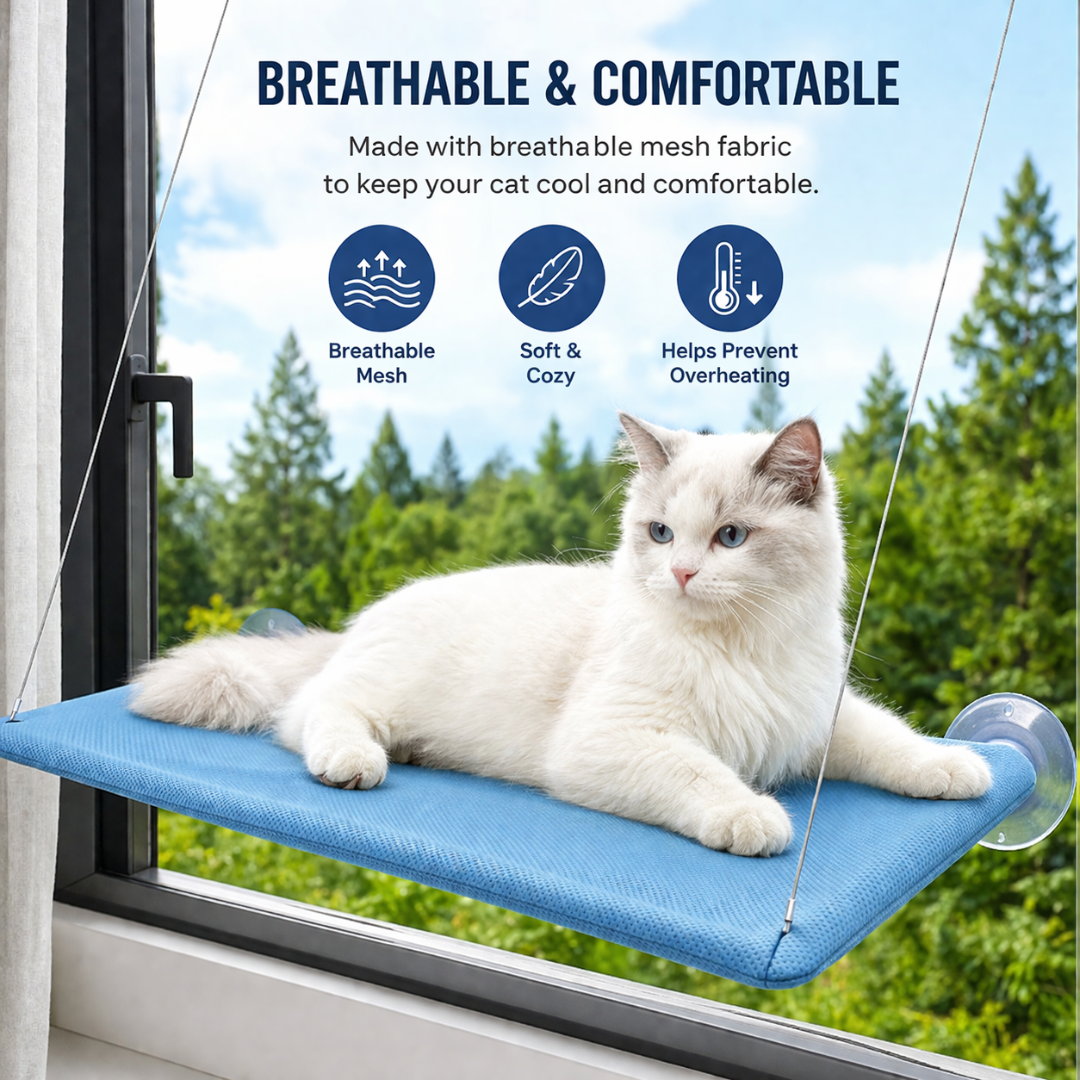 Blue Heavy Duty Cat Window Perch Hammock Bed with Suction Mount Indoor Pet Lounge