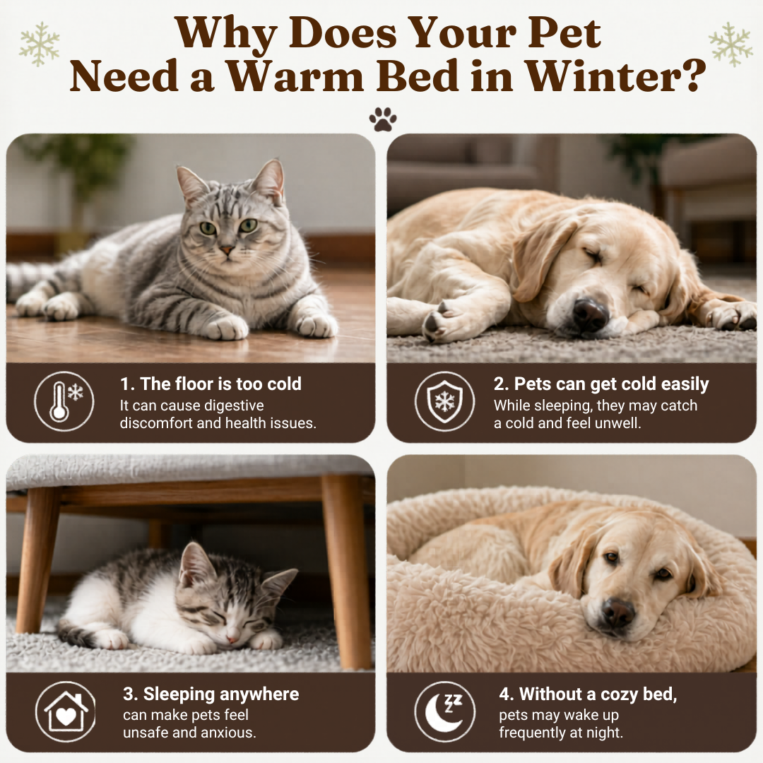 Purple Soft Plush Cat Cave Bed Enclosed Pet Nest Cushion for Cats and Small Dogs