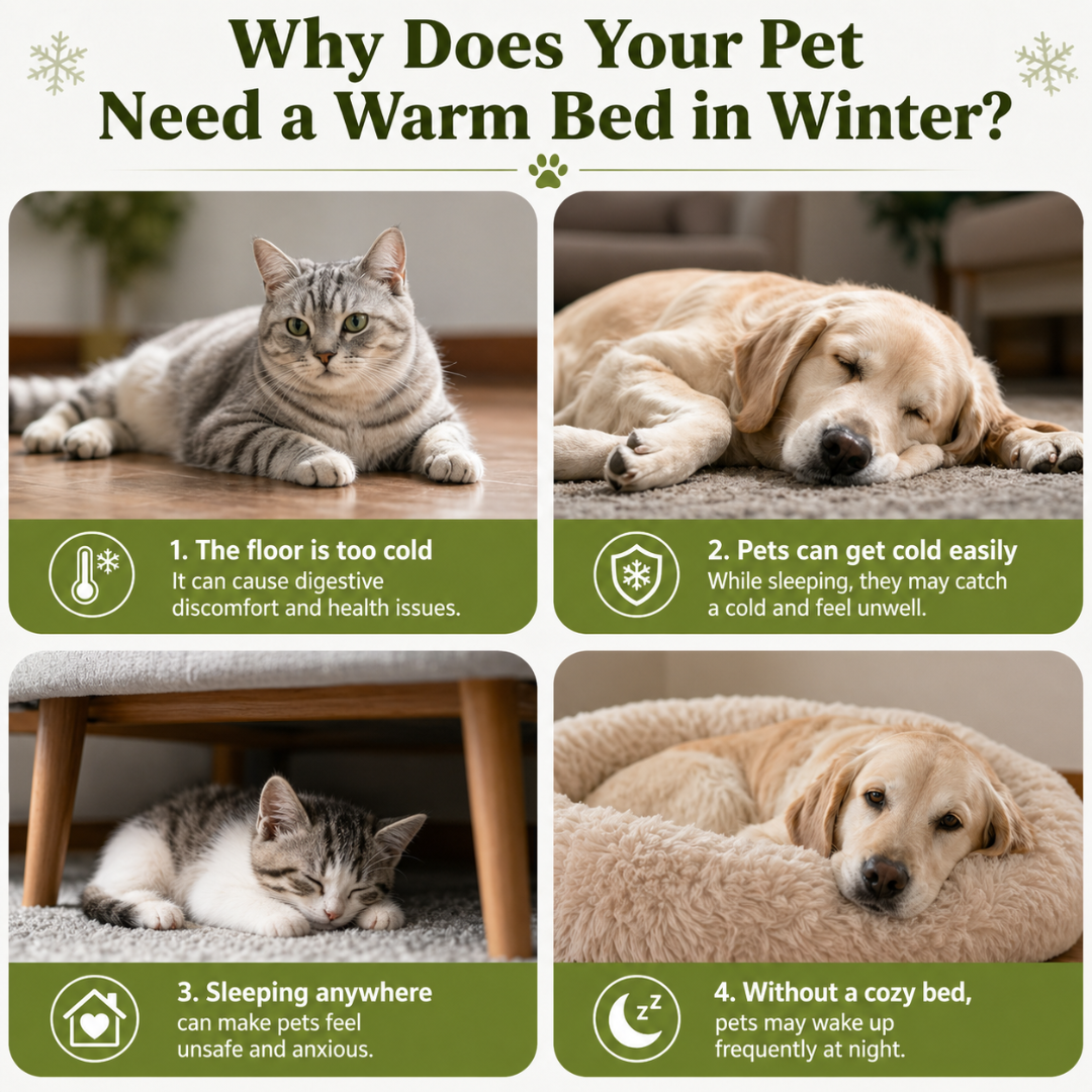 Green Enclosed Pet Bed Plush Cat Nest Soft Cushion House for Cats and Small Dogs