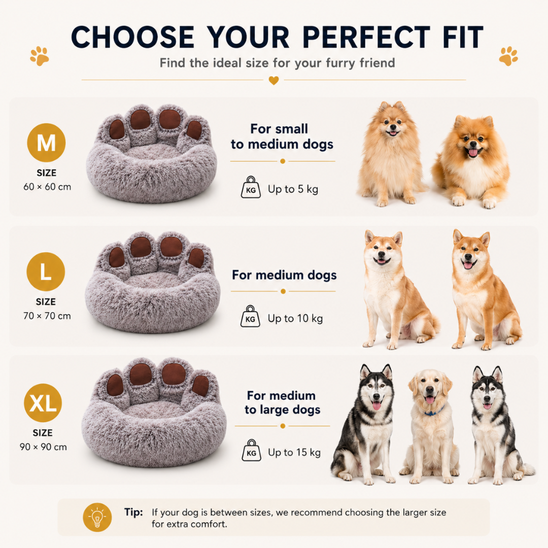 Gradient Coffee Fluffy Pet Bed Soft Sofa Cushion Basket for Cats and Dogs
