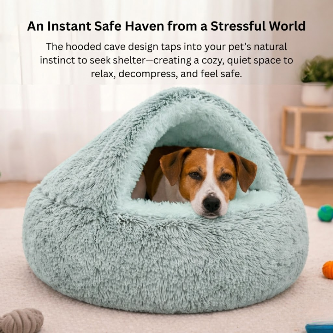 Green Plush Round Pet Cushion Foldable Cat Nest Bed for Cats and Small Dogs