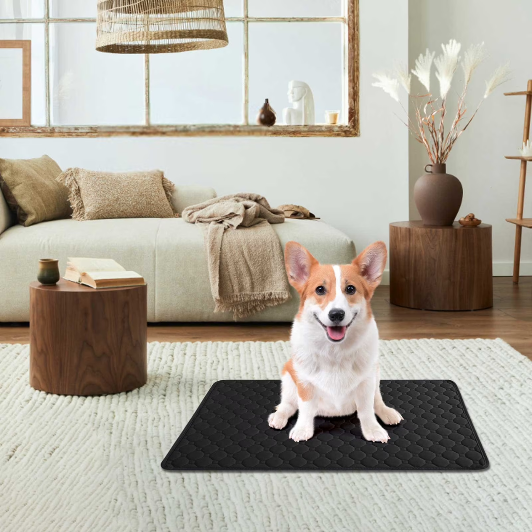 Reusable Dog Training Pad Washable Anti Slip Pet Mat for Home Use