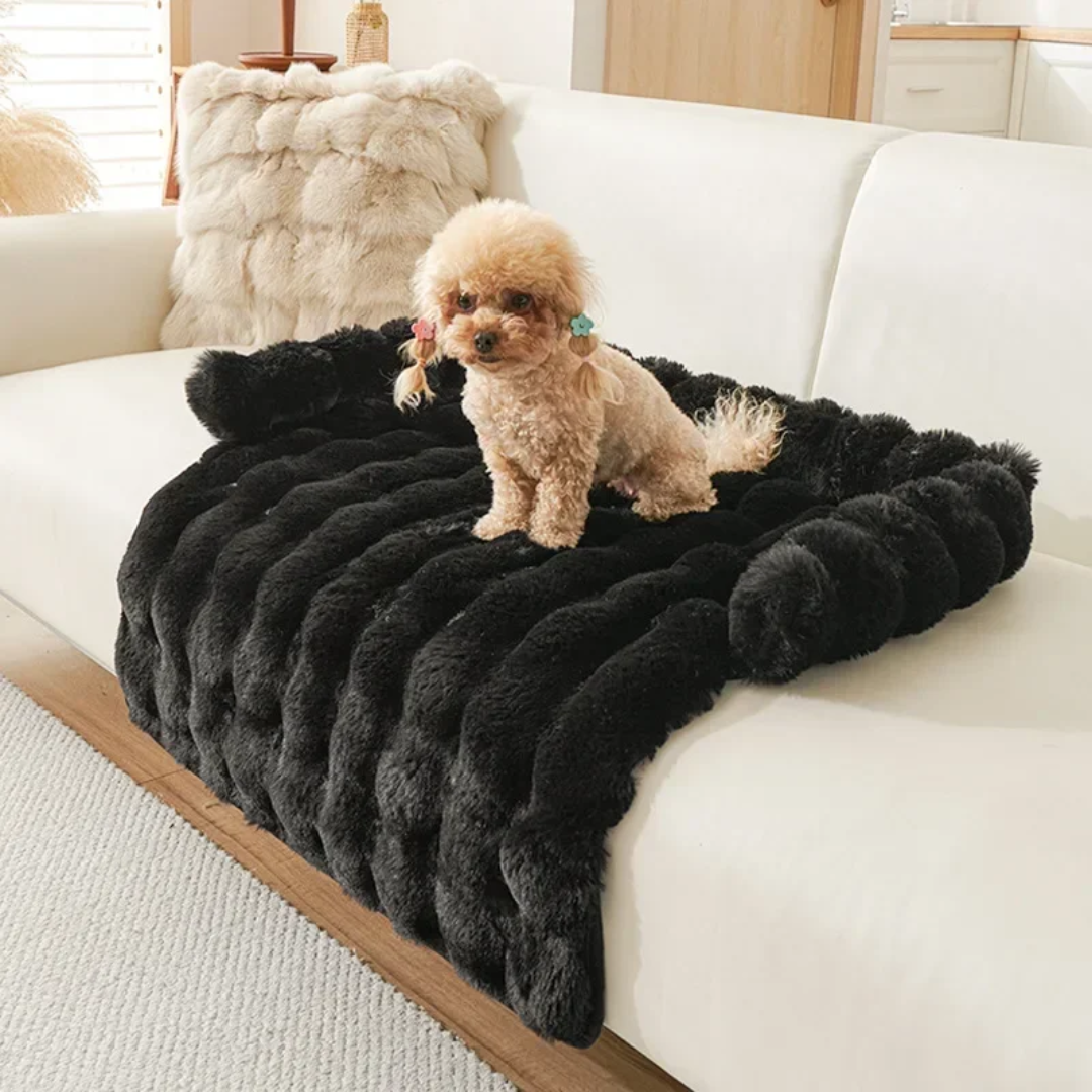 Black Soft Pet Mattress Plush Coral Fleece Bed Mat for Cats and Small to Medium Dogs