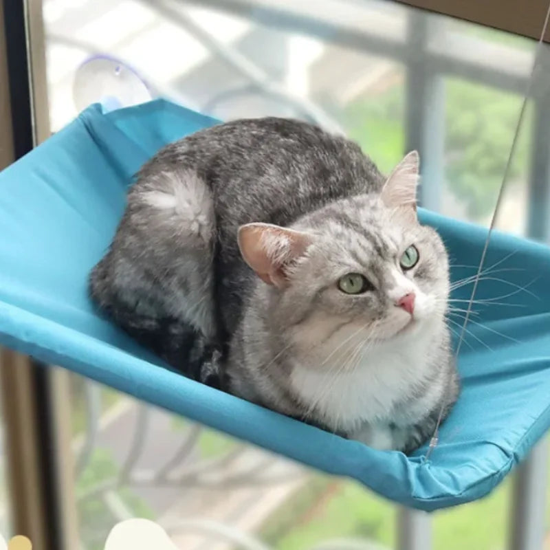 Blue Heavy Duty Cat Window Perch Hammock Bed with Suction Mount Indoor Pet Lounge