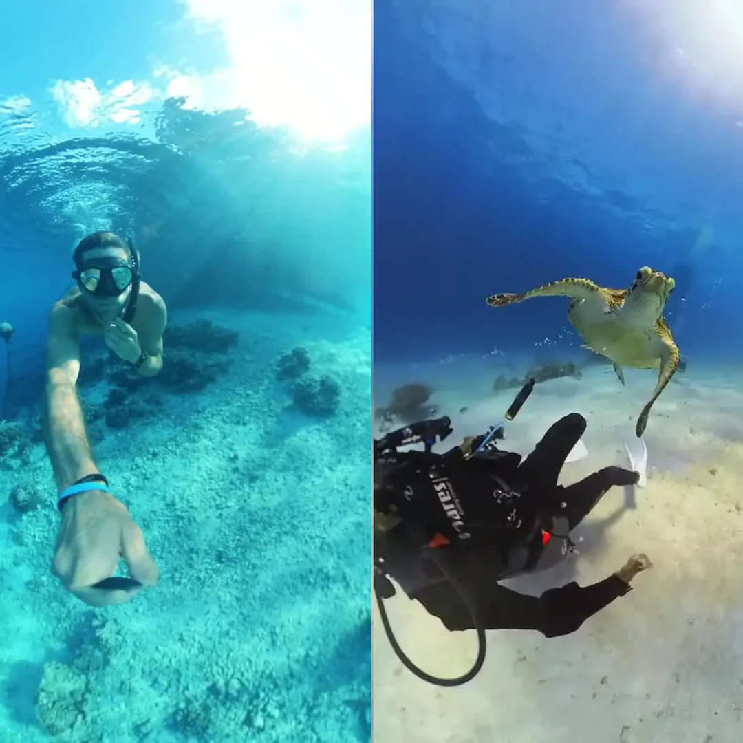 Waterproof Camera Dive Housing 50m Protective Case with Anti-Fog Pads and Mount Screw