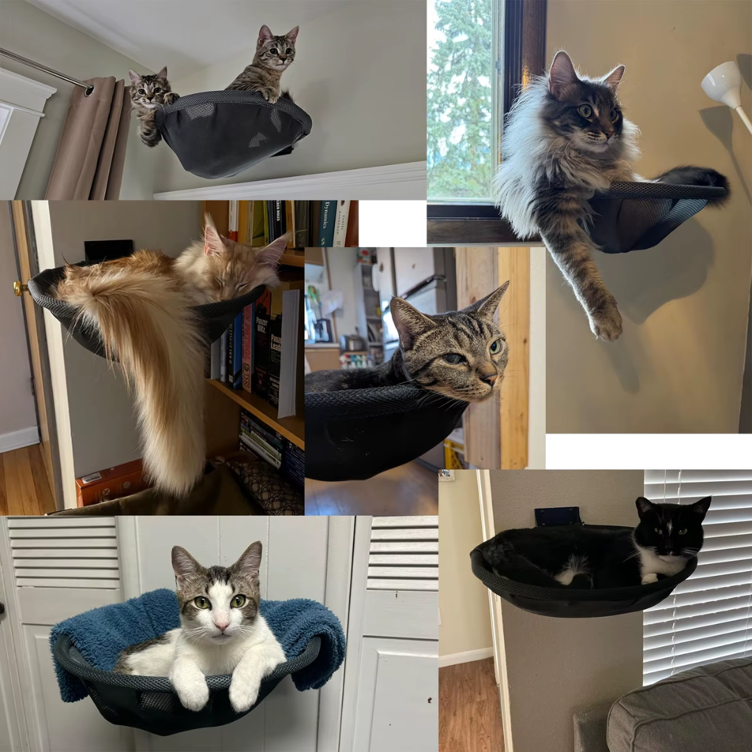Black Wall Mounted Cat Hammock Perch Foldable Indoor Metal Frame Shelf